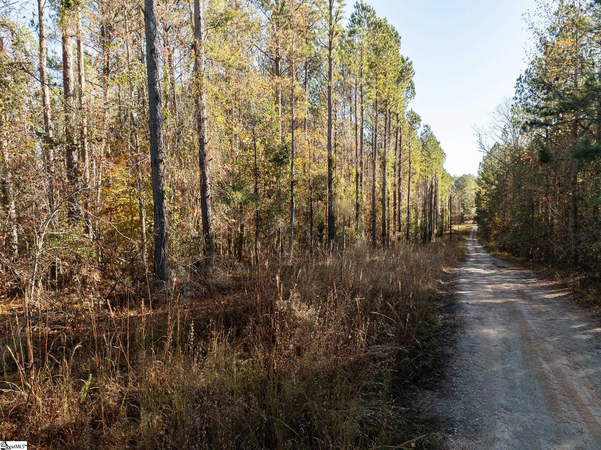 1 Old Milton Road Clinton, SC 29325 - Photo 3 of 21