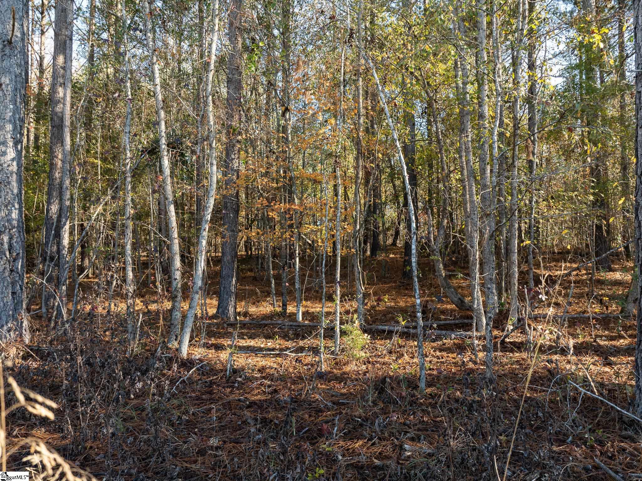 1 Old Milton Road Clinton, SC 29325 - Photo 4 of 21