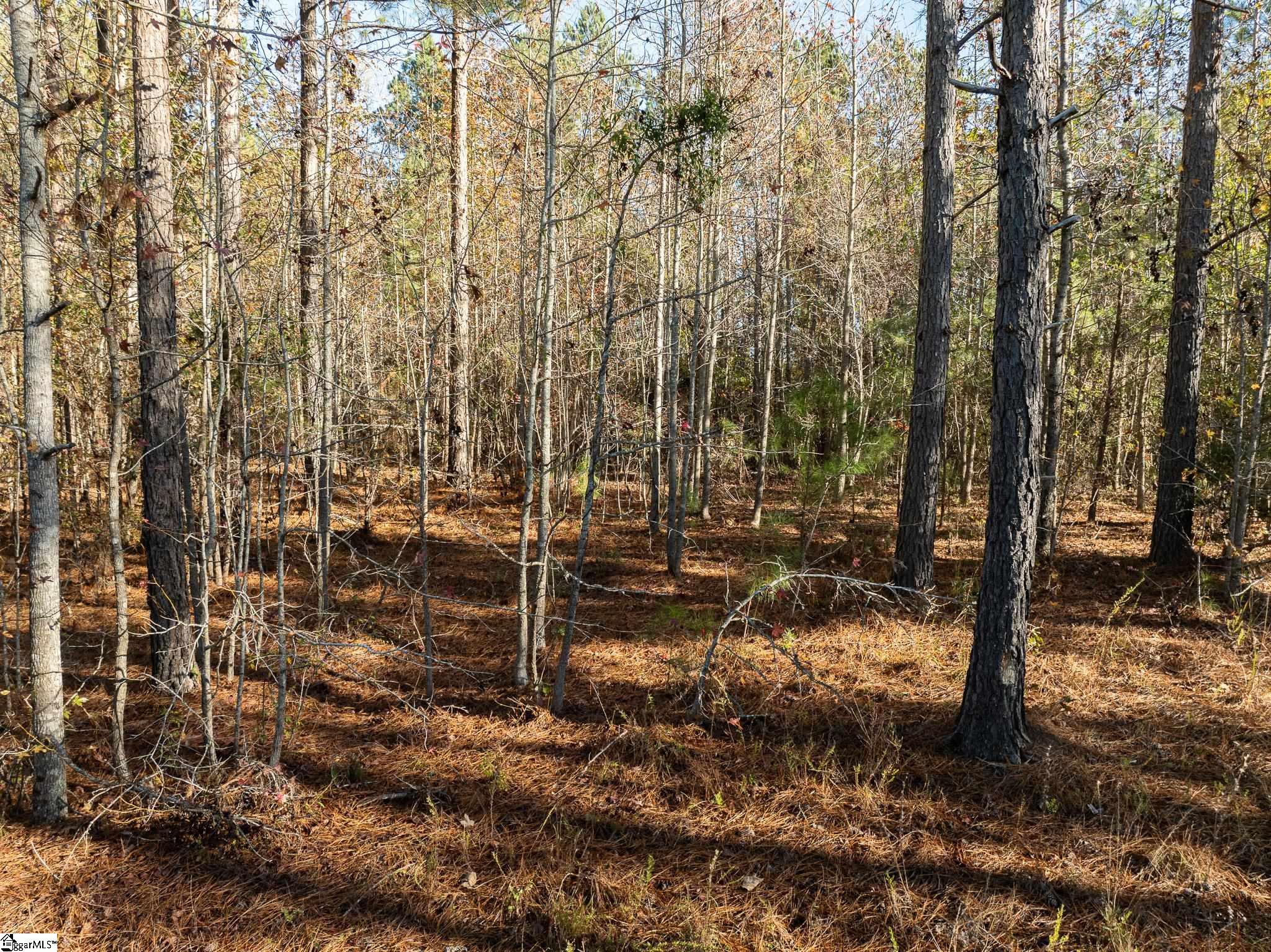 1 Old Milton Road Clinton, SC 29325 - Photo 6 of 21