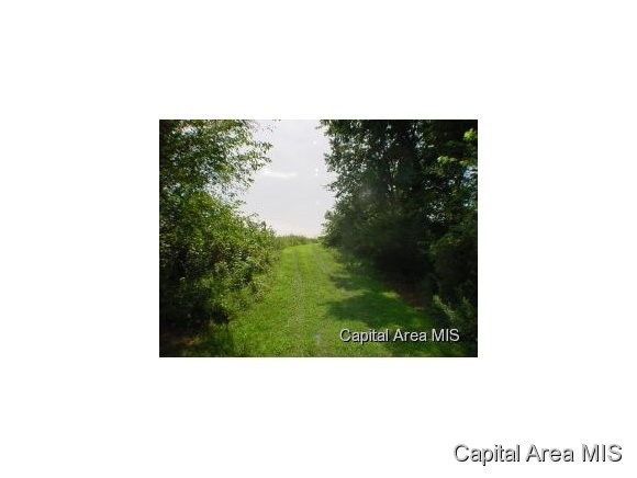 105 Acres Virginia, IL 62691 - Photo 2 of 16