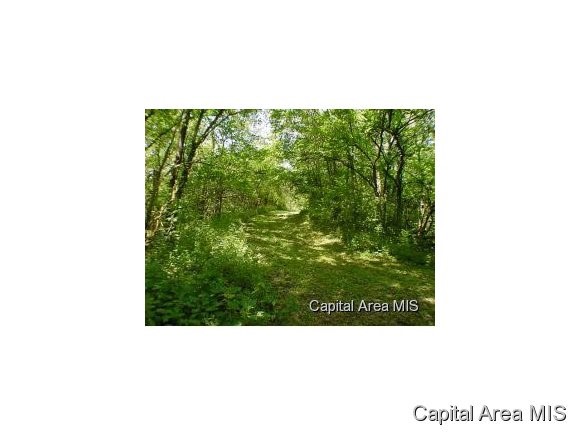 105 Acres Virginia, IL 62691 - Photo 3 of 16