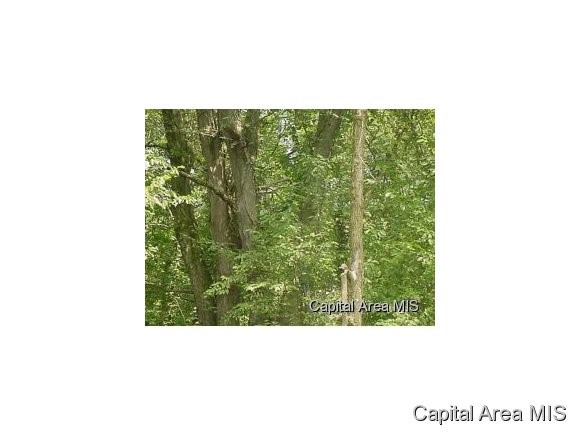 105 Acres Virginia, IL 62691 - Photo 8 of 16