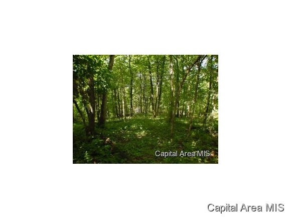 105 Acres Virginia, IL 62691 - Photo 10 of 16