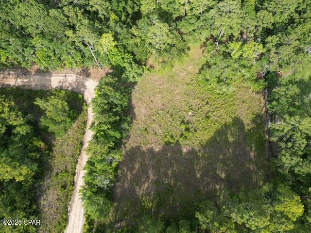 755 Watson Road Freeport, FL 32439 - Photo 8 of 16