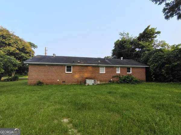 a view of a backyard with plants and large tree