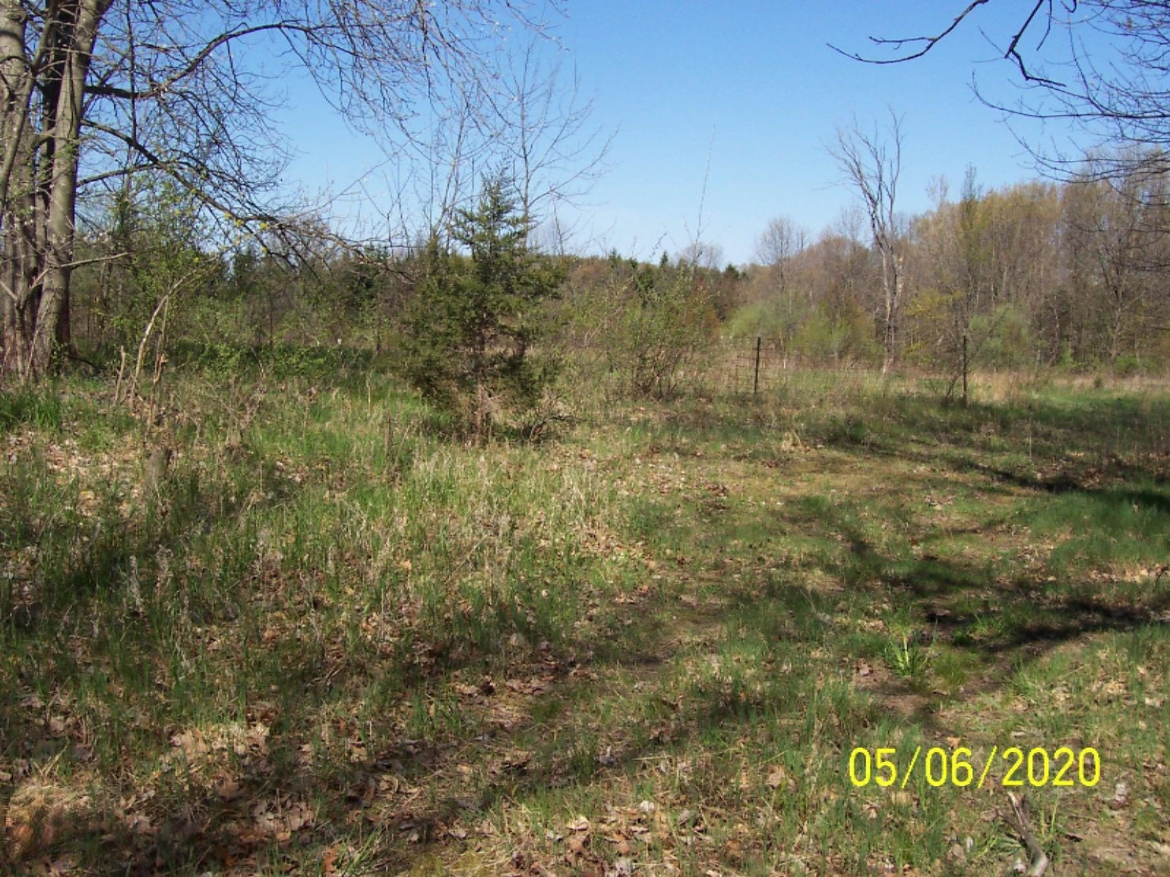 70270 Carls Road Sturgis, MI 49091 - Photo 5 of 28 70270 Carls Rd 003