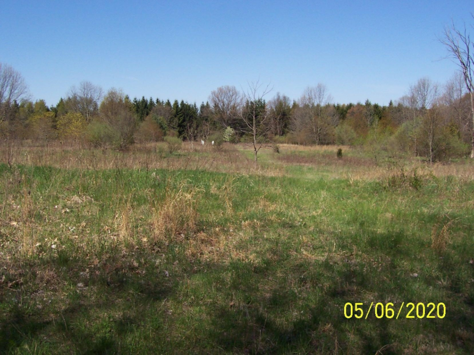 70270 Carls Road Sturgis, MI 49091 - Photo 6 of 28 70270 Carls Rd 004