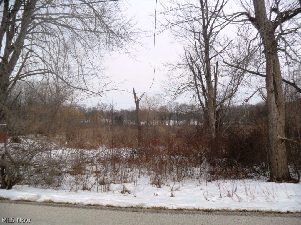 1322 Aberagg Road Atwater, OH 44201 - Photo 6 of 6 Lot convenient located to Routes 224, 44, & 43.