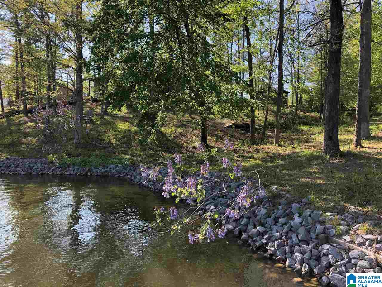 414 Journeys End Road Ashville, AL 35953 - Photo 48 of 50