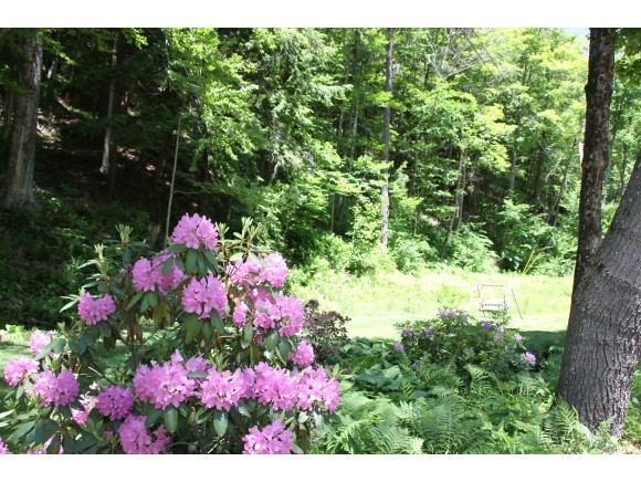 2534 Pikes Falls Road Jamaica, VT 05343 - Photo 27 of 31 Gallery Image 27