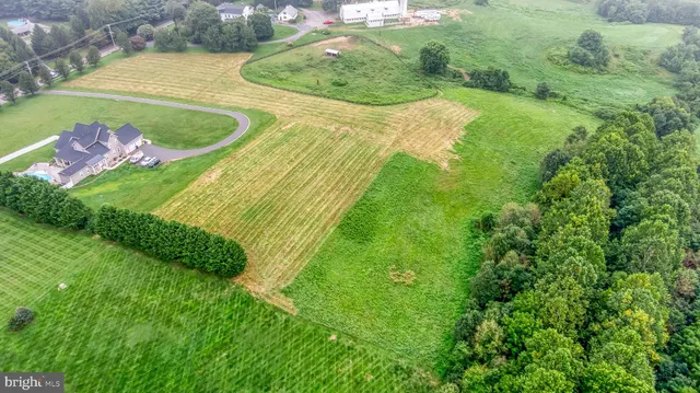 a view of a swimming pool with a yard