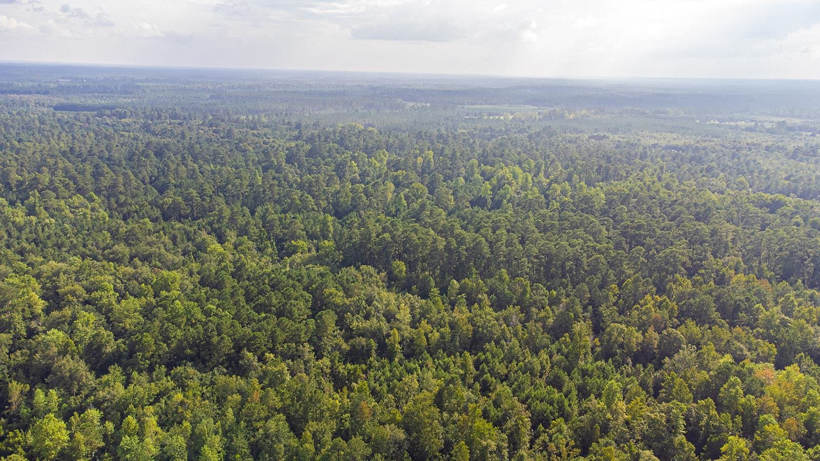 9 West Nichols Sc 29581 Nichols, SC 29581 - Photo 8 of 22