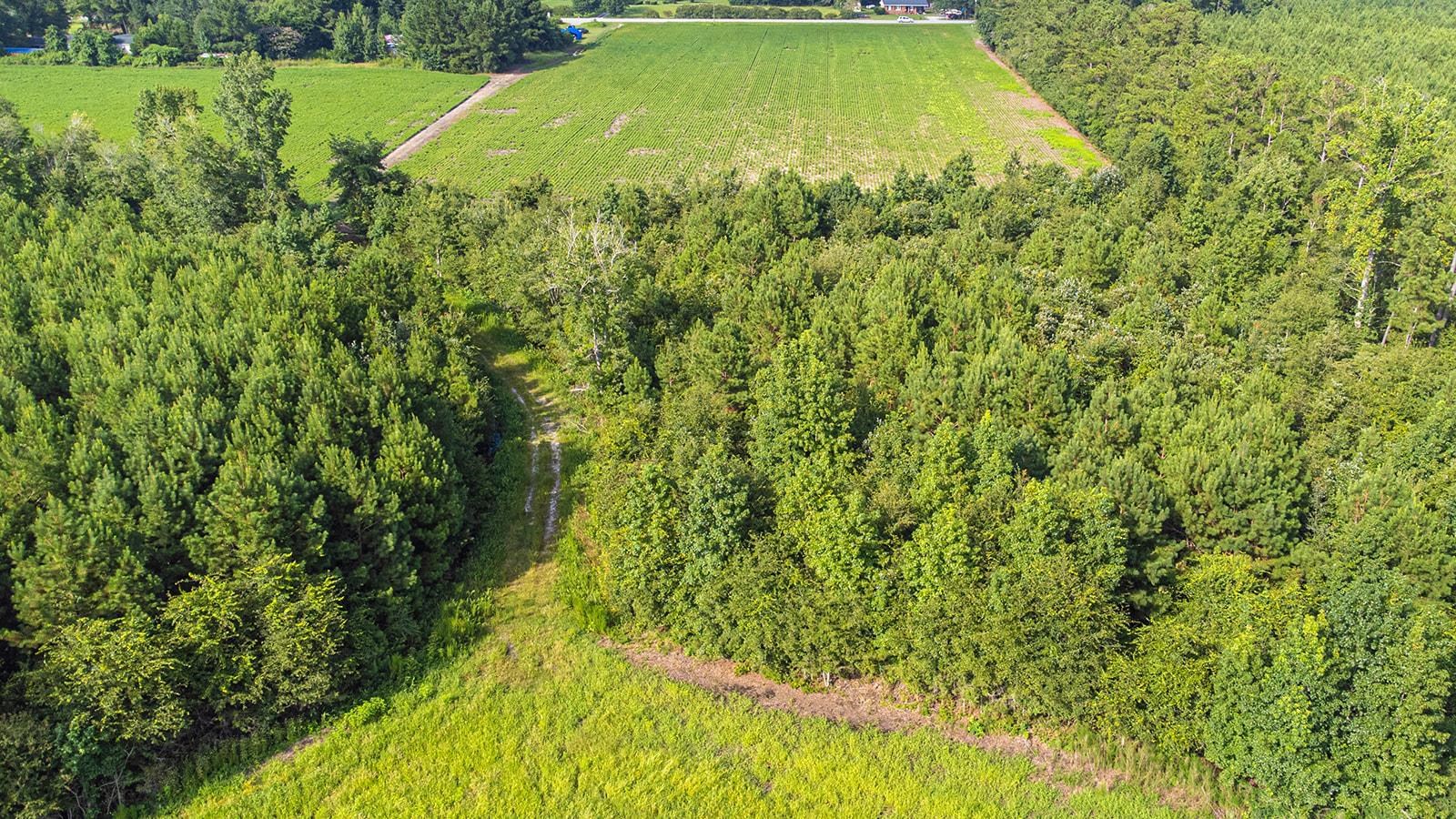 9 West Nichols Sc 29581 Nichols, SC 29581 - Photo 10 of 22 Drone / aerial view of a heavily wooded area