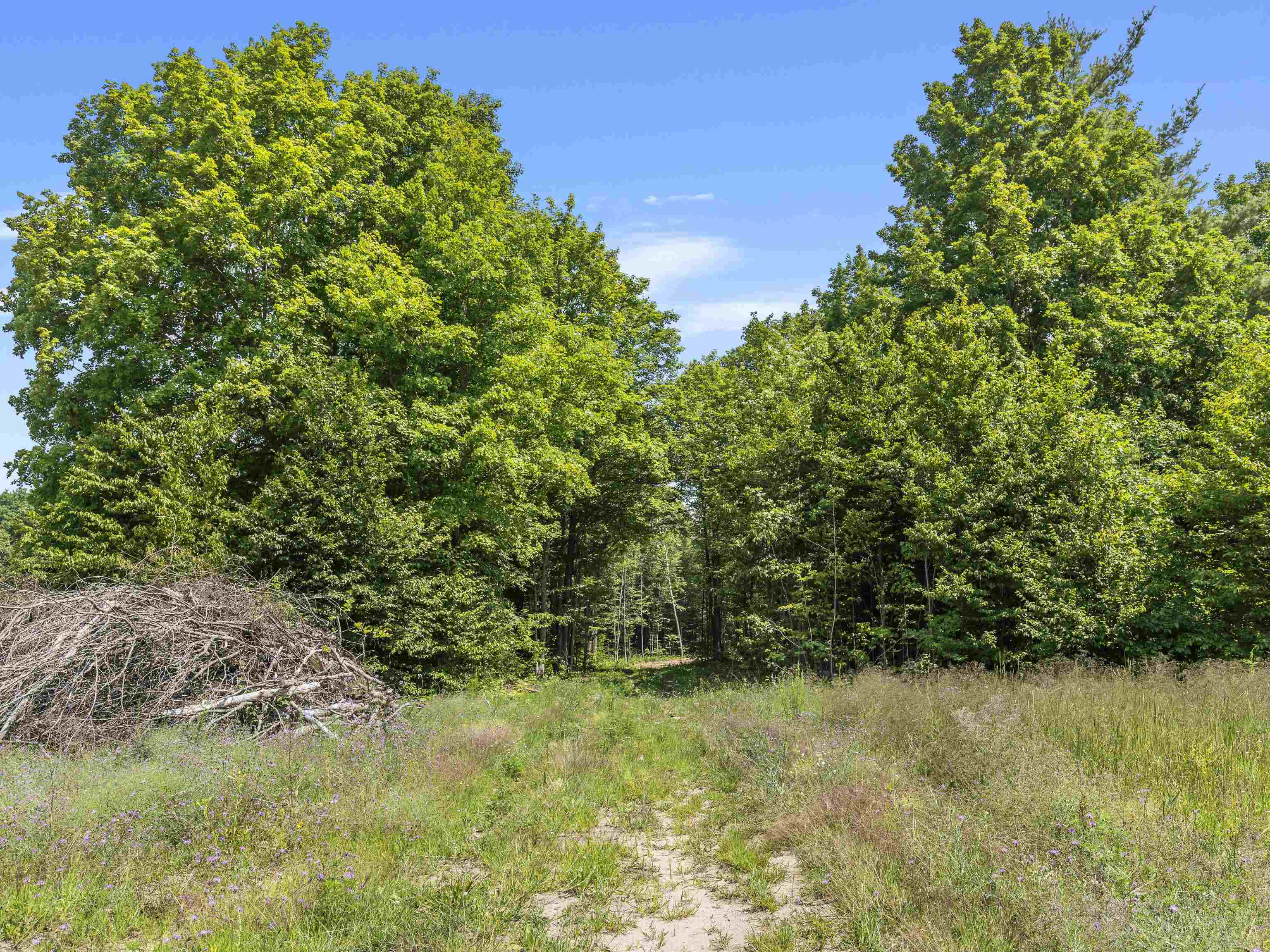 1233 South Zimmerman Road Beulah, MI 49617 - Photo 10 of 12 Gallery Image 10