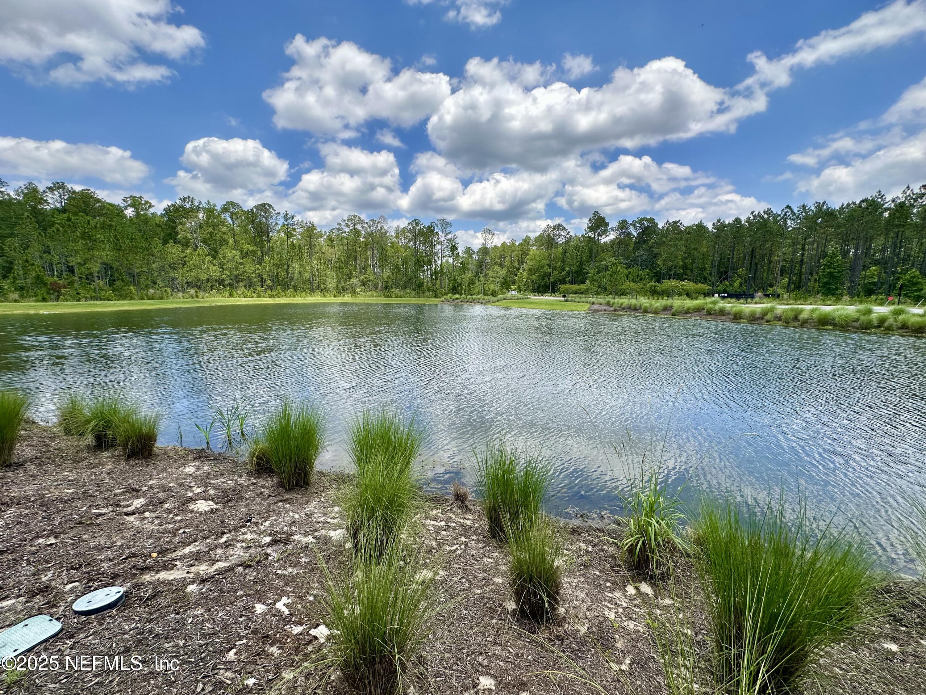 75310 White Rabbit Avenue Yulee, FL 32097 - Photo 54 of 61 IMG_2564