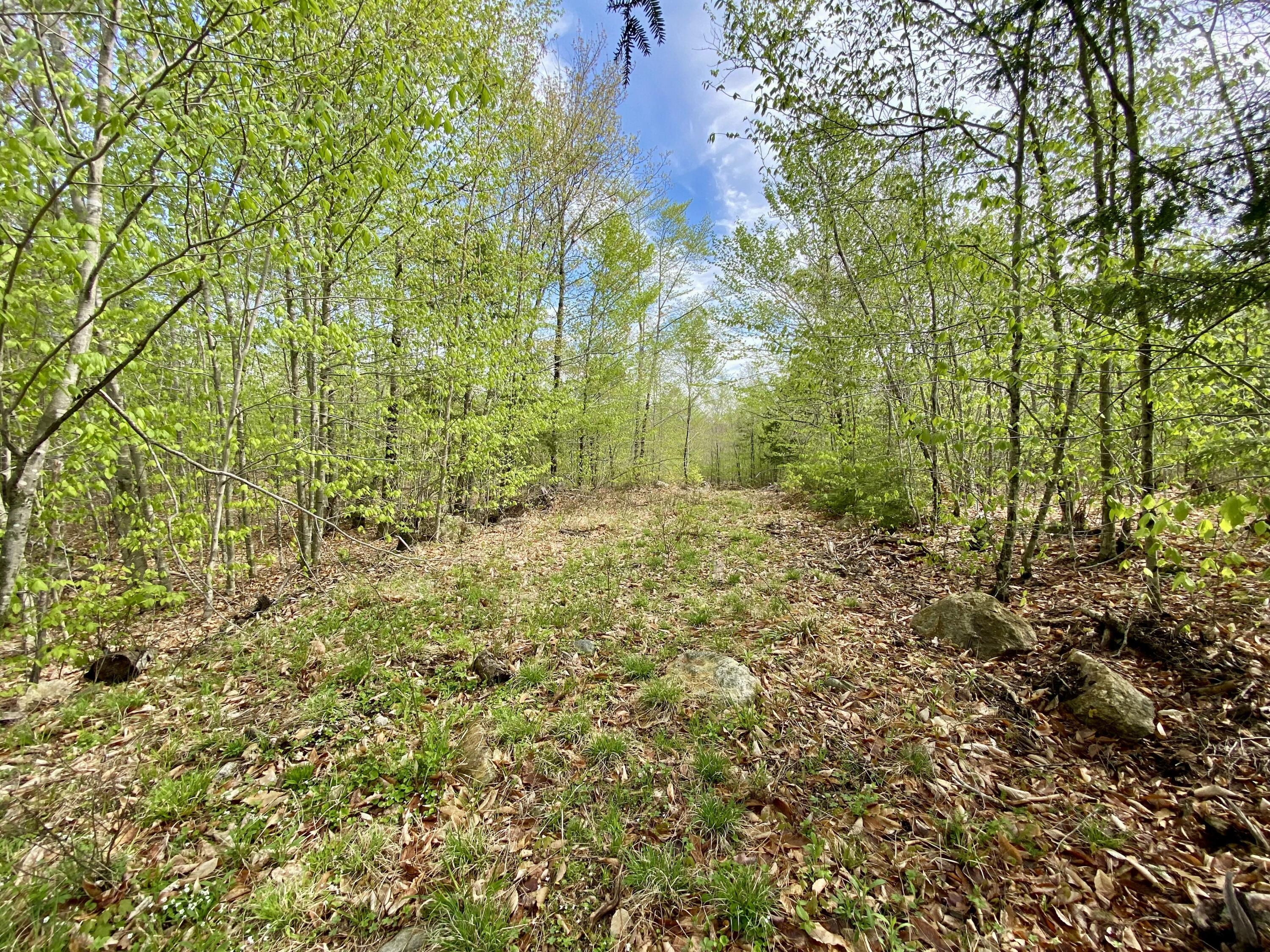 65-ac Town Farm Road West Baldwin, ME 04091 - Photo 12 of 16 IMG_2753