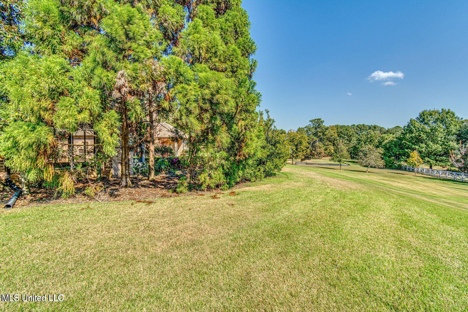 102 Bridgewater Crossing Ridgeland, MS 39157 - Photo 45 of 46 20241029022359496908000000-o