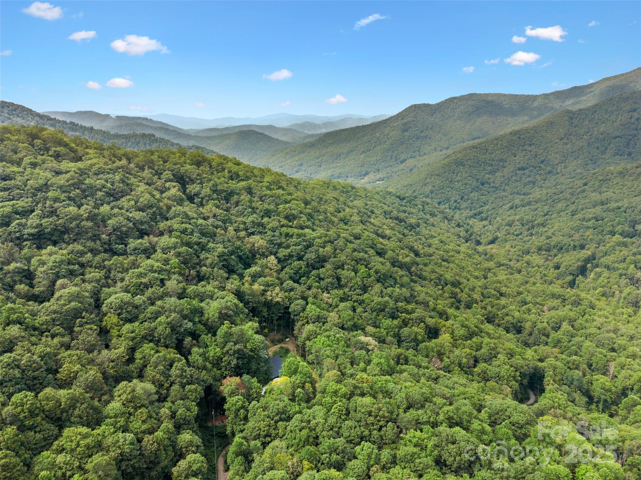 0 Old Sawmill Road Burnsville, NC 28714 - Photo 3 of 8 a view of a lush green hillside and a mountain