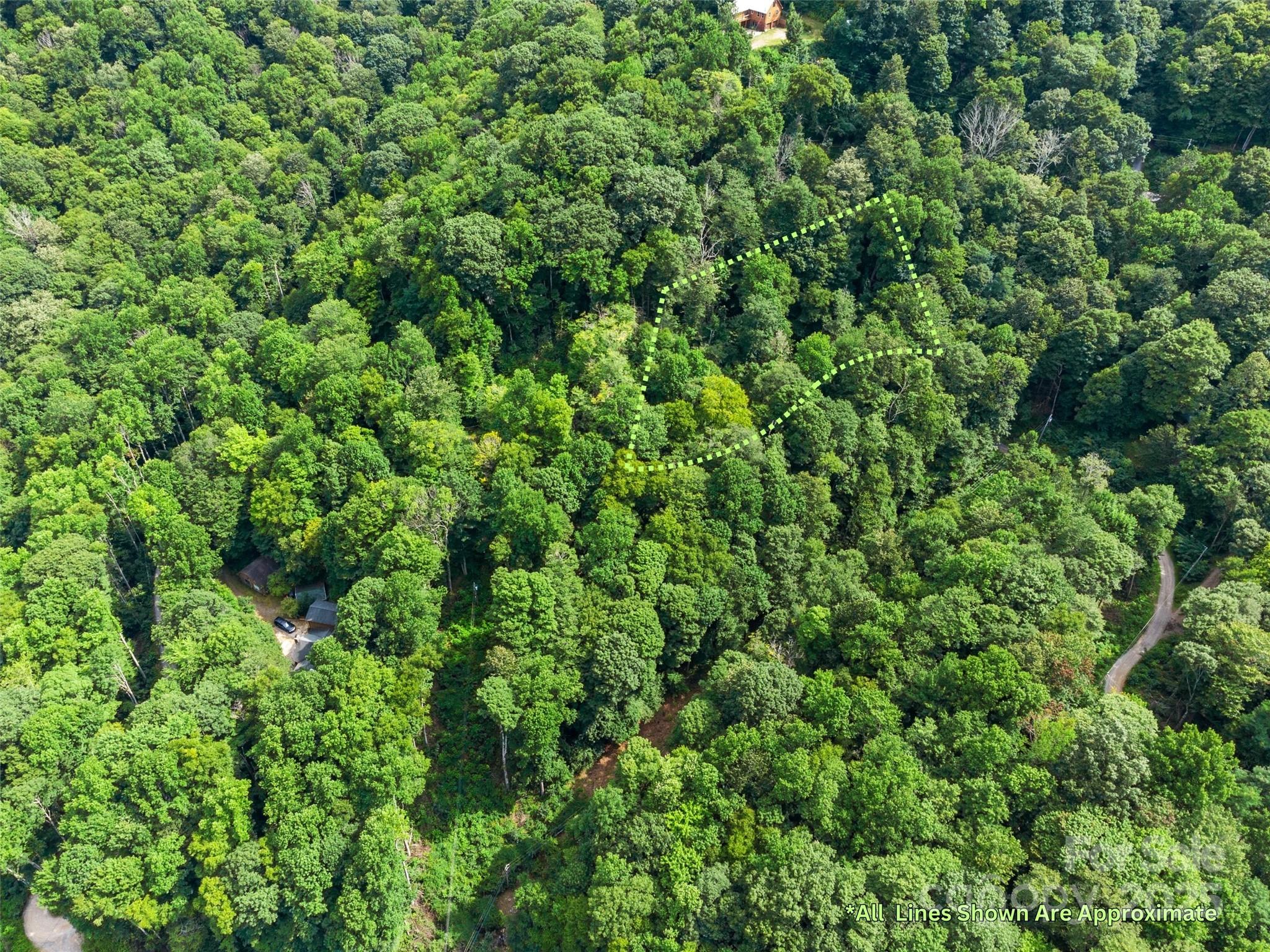 0 Old Sawmill Road Burnsville, NC 28714 - Photo 5 of 8 a view of a lush green forest
