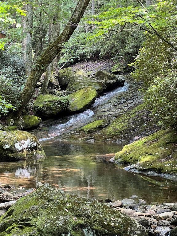 0 Old Sawmill Road Burnsville, NC 28714 - Photo 8 of 8