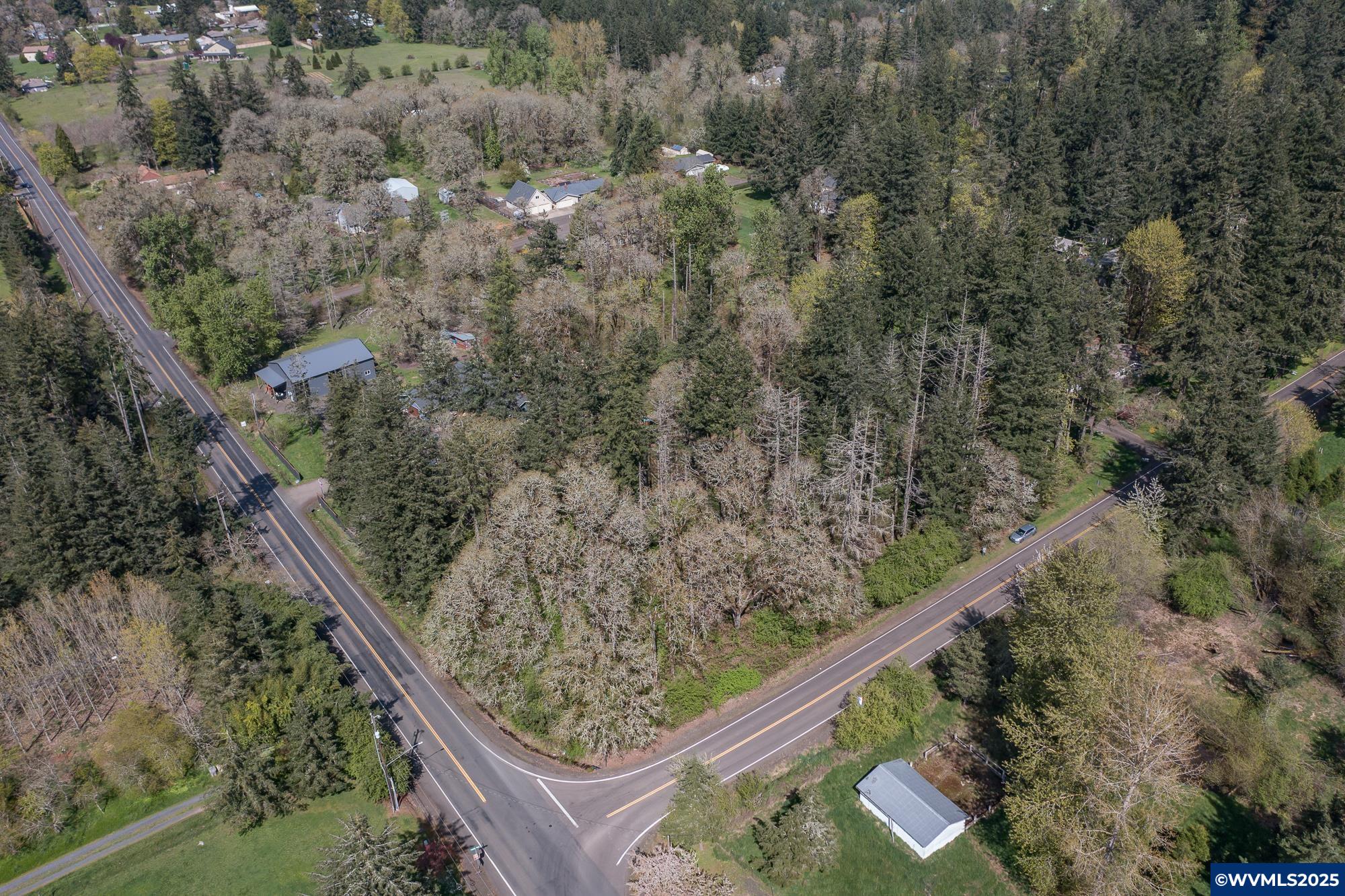 Lot 1102 Valley View Albany, OR 97321 - Photo 3 of 24 Gallery Image 3