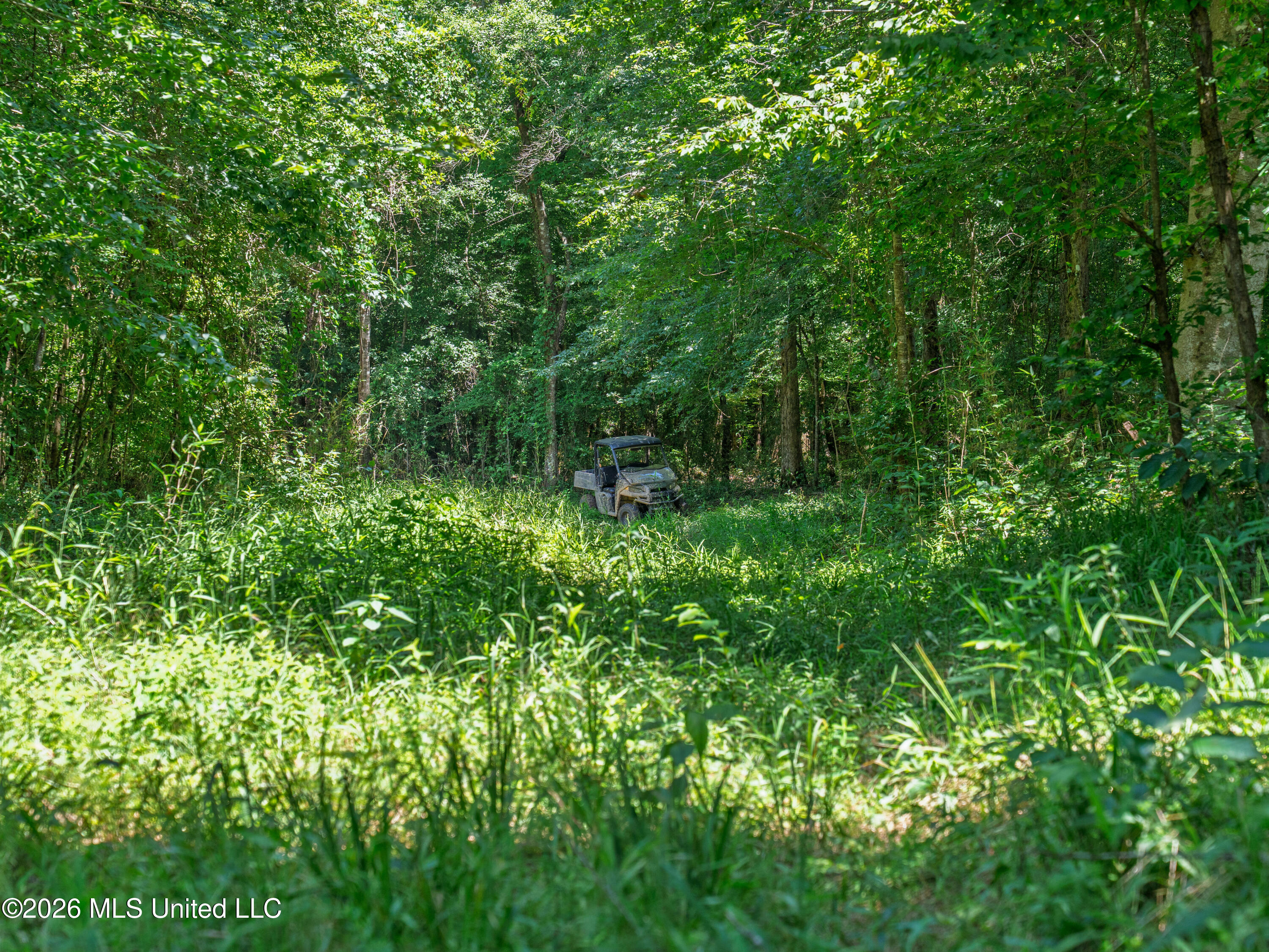 23 Co Road Bay Springs, MS 39422 - Photo 21 of 64 A7403758
