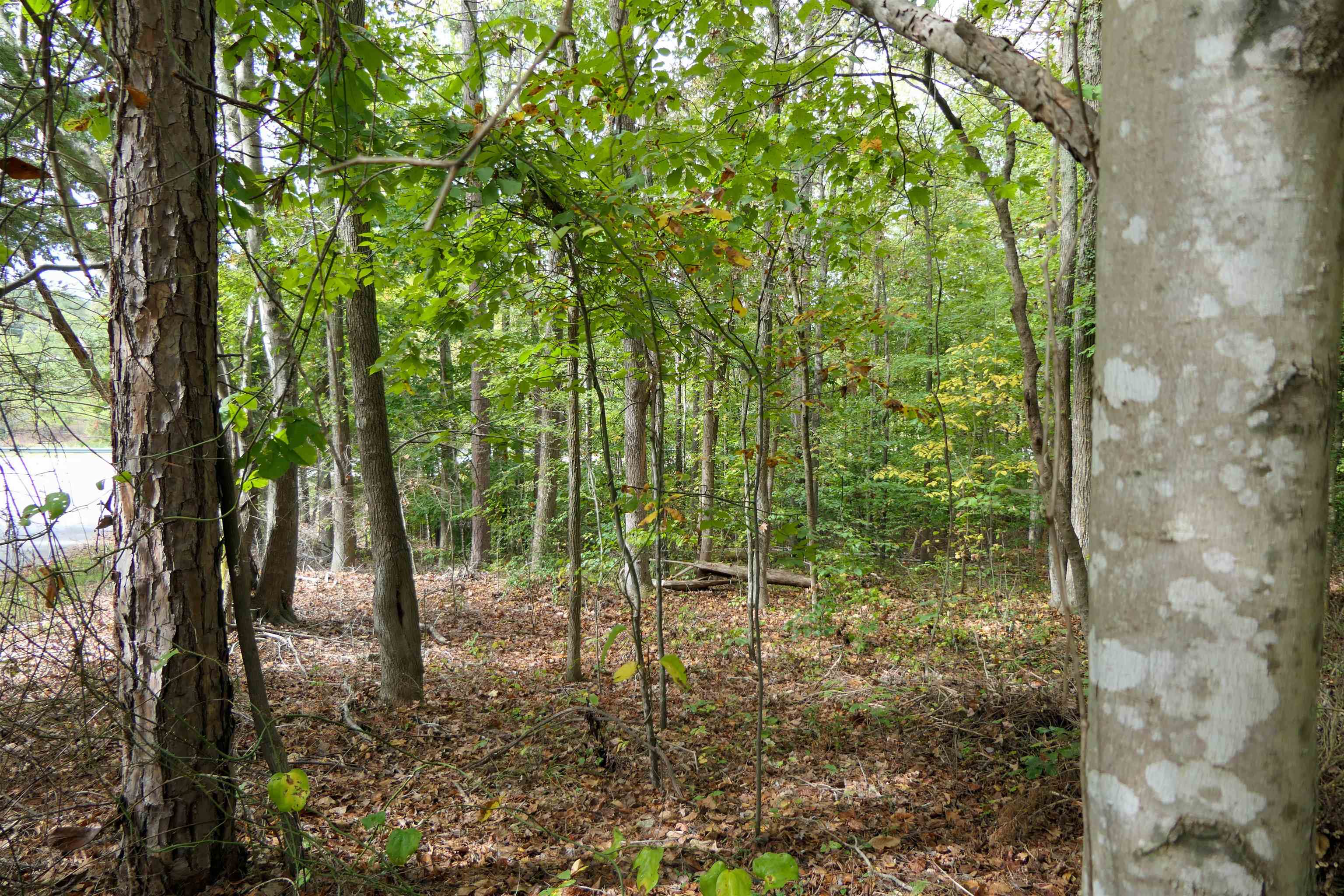 Pinewood Road Spartanburg, SC 29302 - Photo 4 of 4