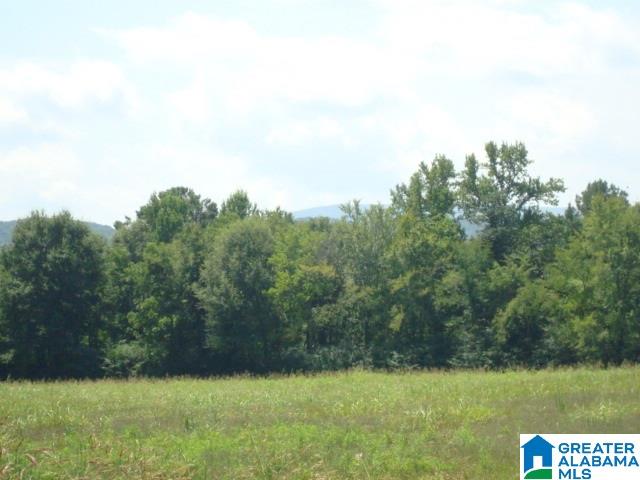 0 Dabbs Road, Unit 19 & 20 Oxford, AL 36203 - Photo 13 of 33