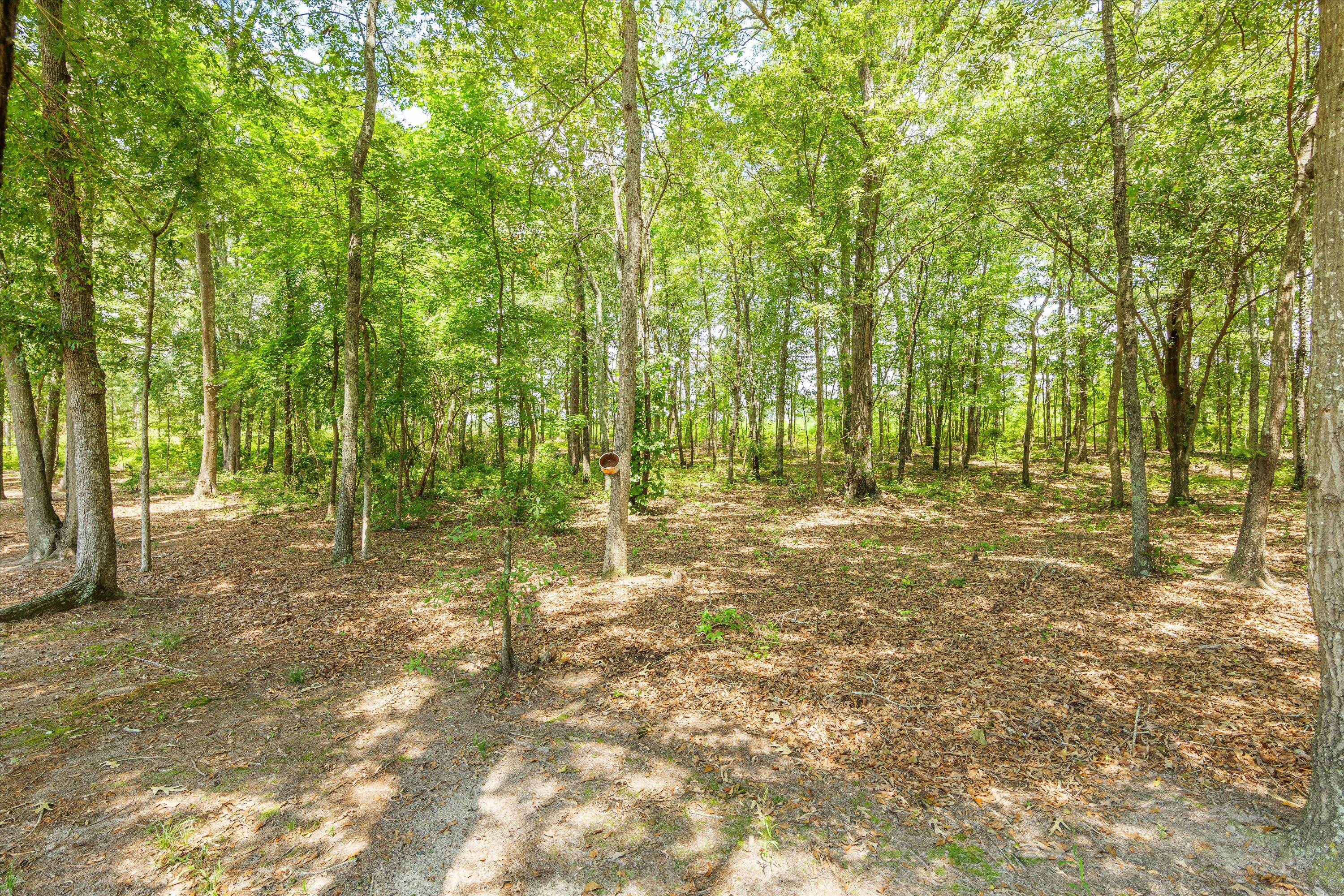 1195 Augusta Road Trenton, SC 29847 - Photo 23 of 42