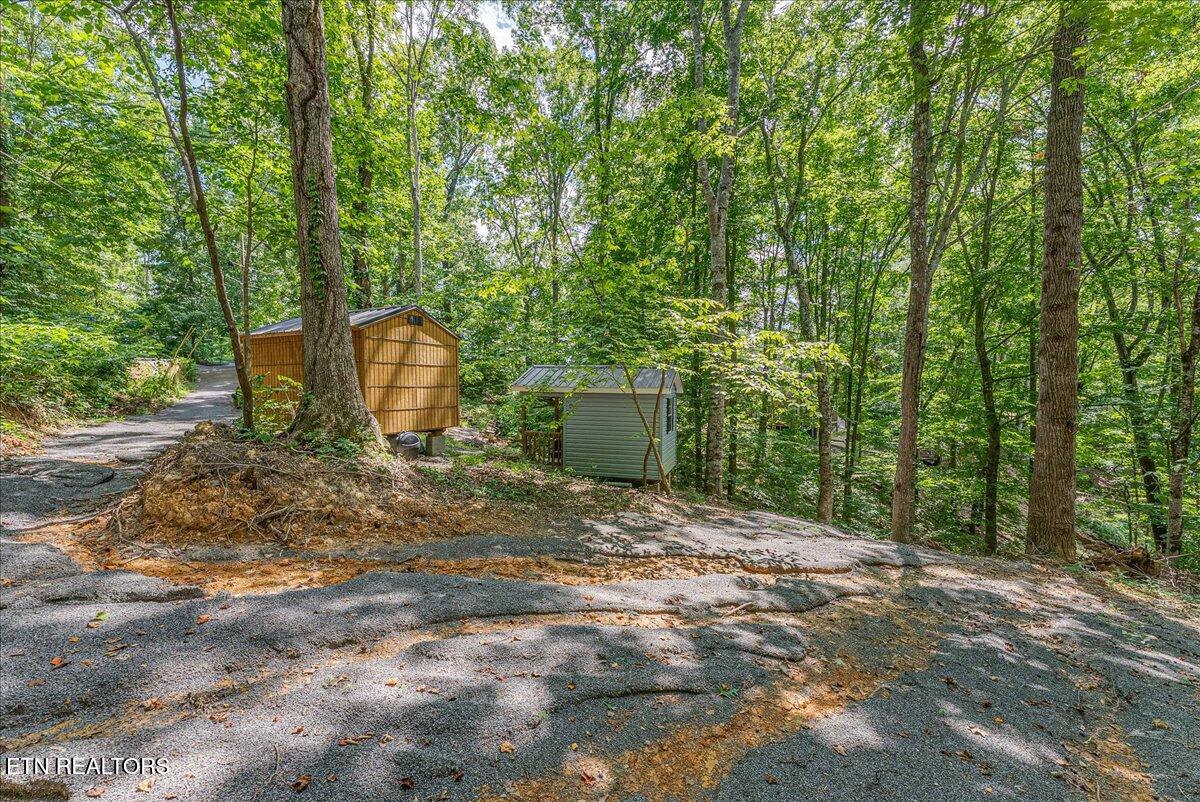 1901 Bootbluff Trail Dandridge, TN 37725 - Photo 12 of 22 bootbluff trail pic 4 with building