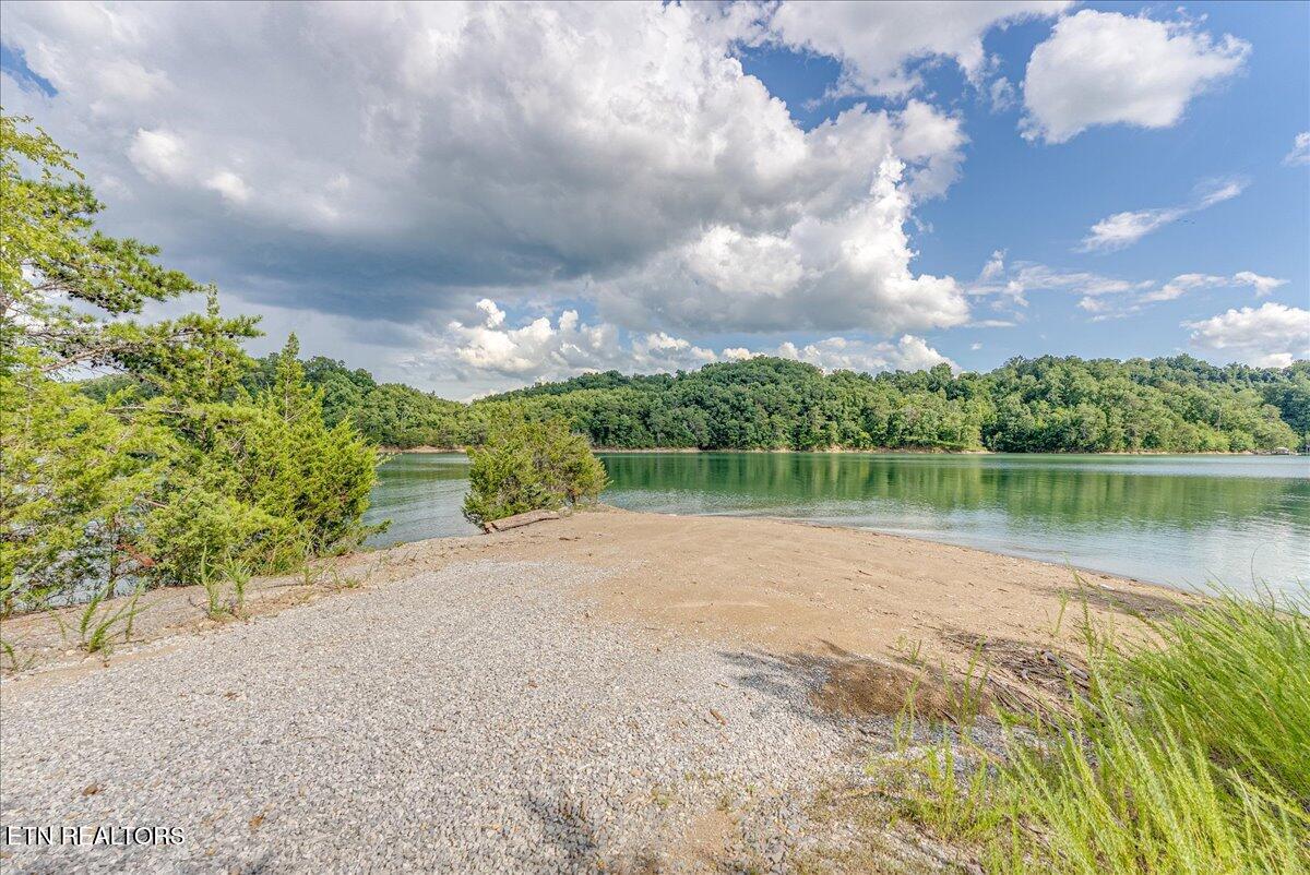 1901 Bootbluff Trail Dandridge, TN 37725 - Photo 14 of 22 bootbluff private boat launch