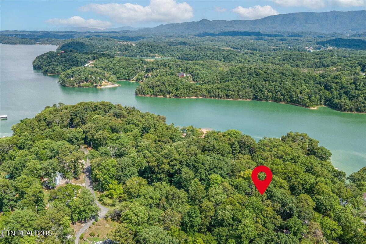 1901 Bootbluff Trail Dandridge, TN 37725 - Photo 16 of 22 bootbluff drone without lines 2