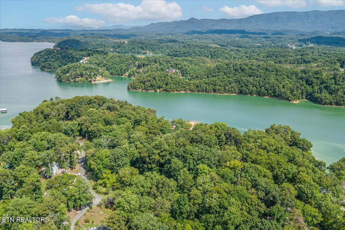 1901 Bootbluff Trail Dandridge, TN 37725 - Photo 18 of 22 bootbluff drone lake shot 3