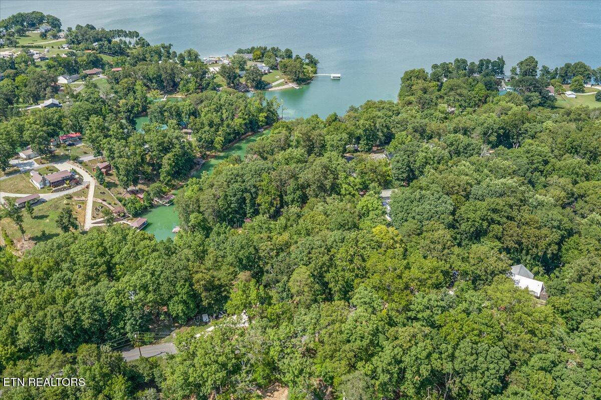 1901 Bootbluff Trail Dandridge, TN 37725 - Photo 19 of 22 bootbluff drone lake shot