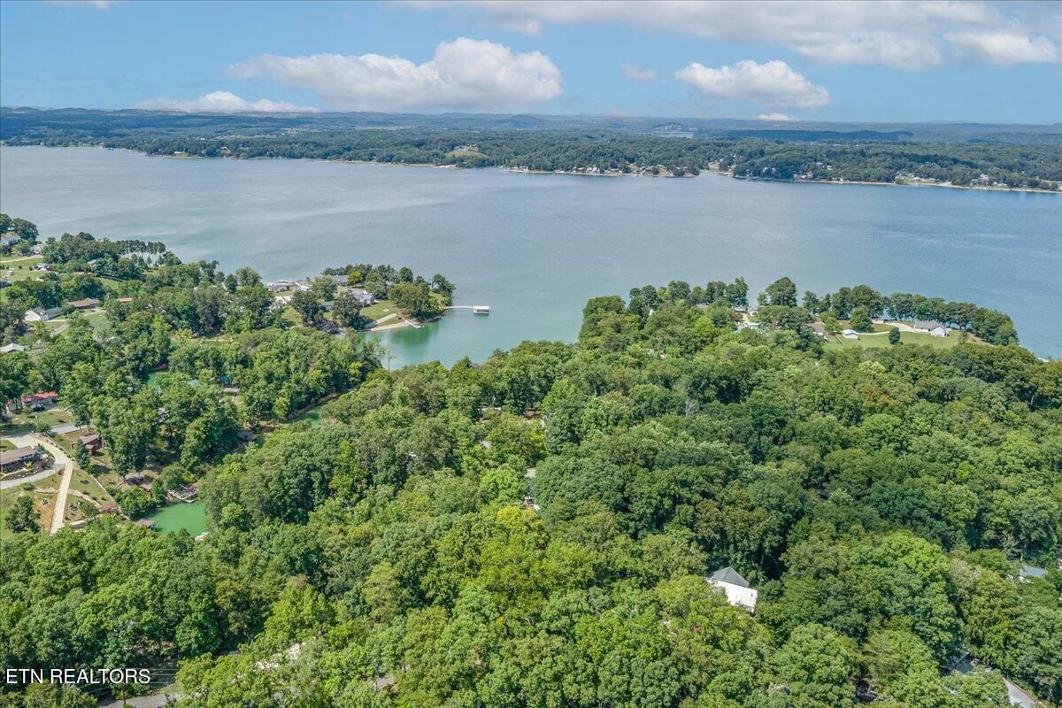 1901 Bootbluff Trail Dandridge, TN 37725 - Photo 20 of 22 bootbluff drone shot of lake
