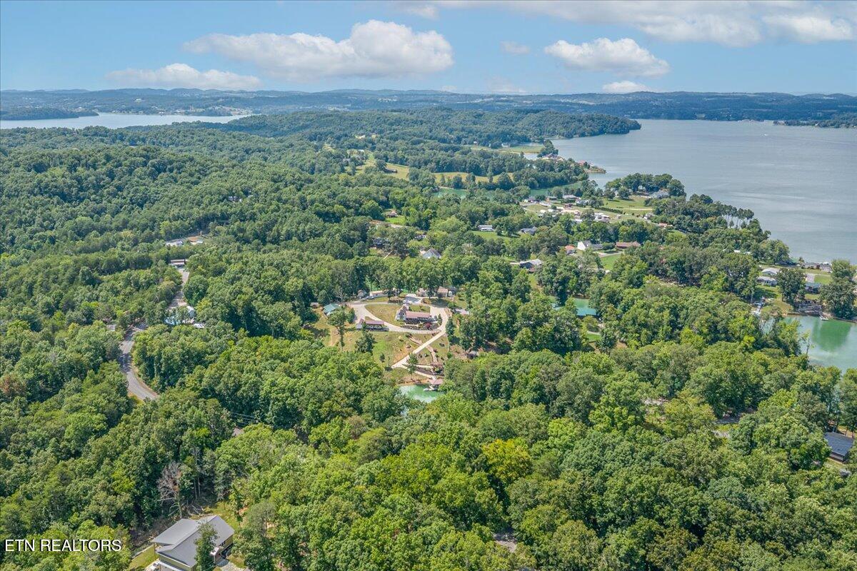 1901 Bootbluff Trail Dandridge, TN 37725 - Photo 21 of 22 bootbluff drone shot lake overview