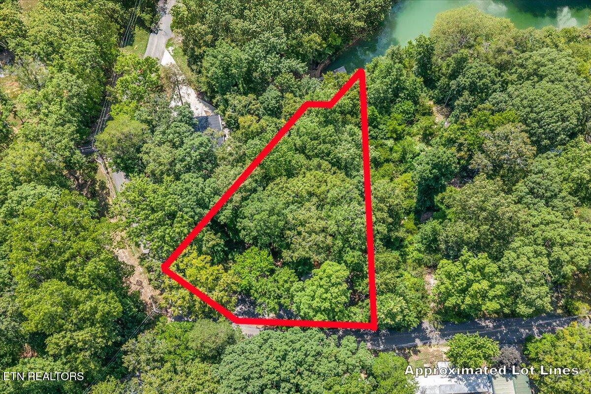 1901 Bootbluff Trail Dandridge, TN 37725 - Photo 5 of 22 bootbluff drone shot with property outli