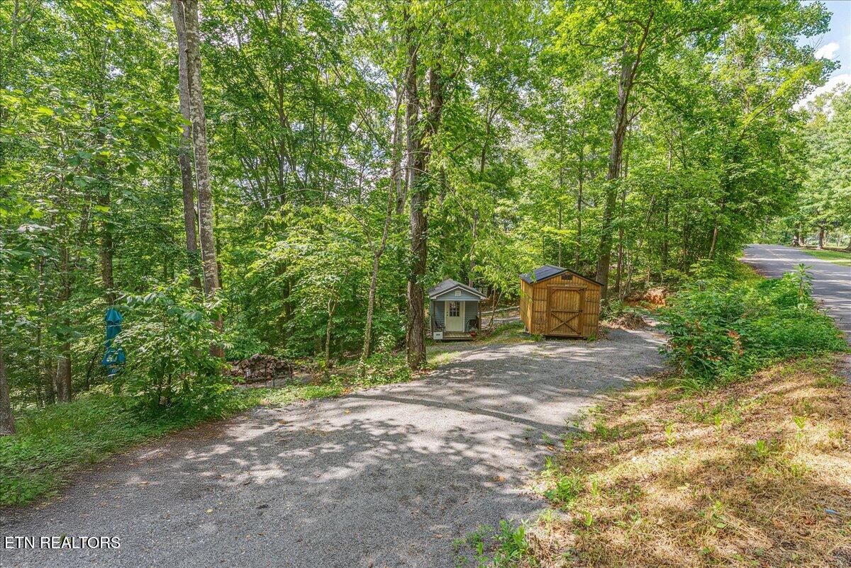 1901 Bootbluff Trail Dandridge, TN 37725 - Photo 6 of 22 bootbluff driveway