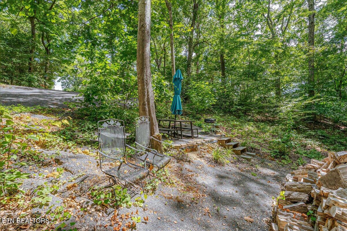 1901 Bootbluff Trail Dandridge, TN 37725 - Photo 9 of 22 bootbluff picnic area pic