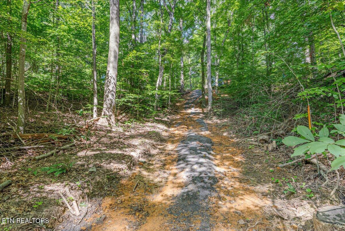 1901 Bootbluff Trail Dandridge, TN 37725 - Photo 10 of 22 bootbluff trail pic 1