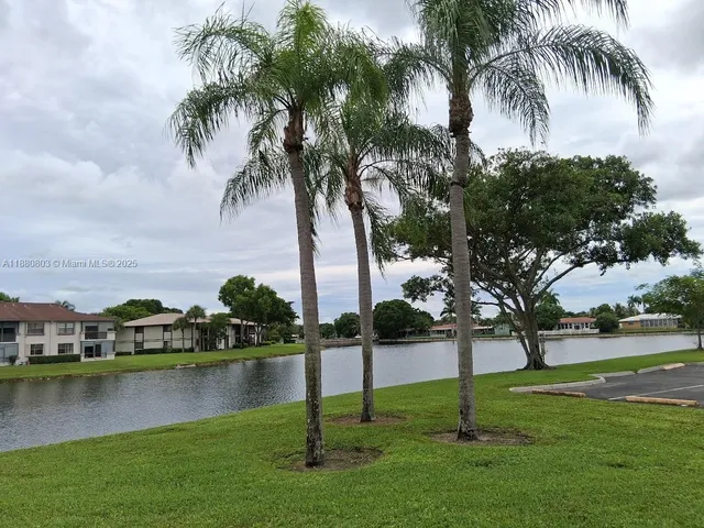 a view of a lake with a yard and palm trees