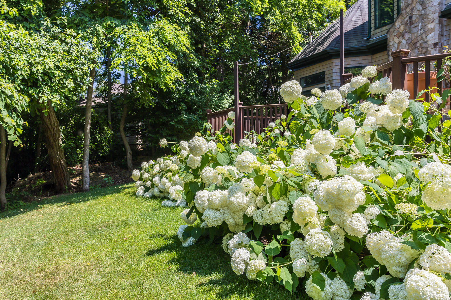 234 Cairn Ridge Road East Falmouth, MA 02536 - Photo 28 of 41 a backyard of a house with lots of green space and garden