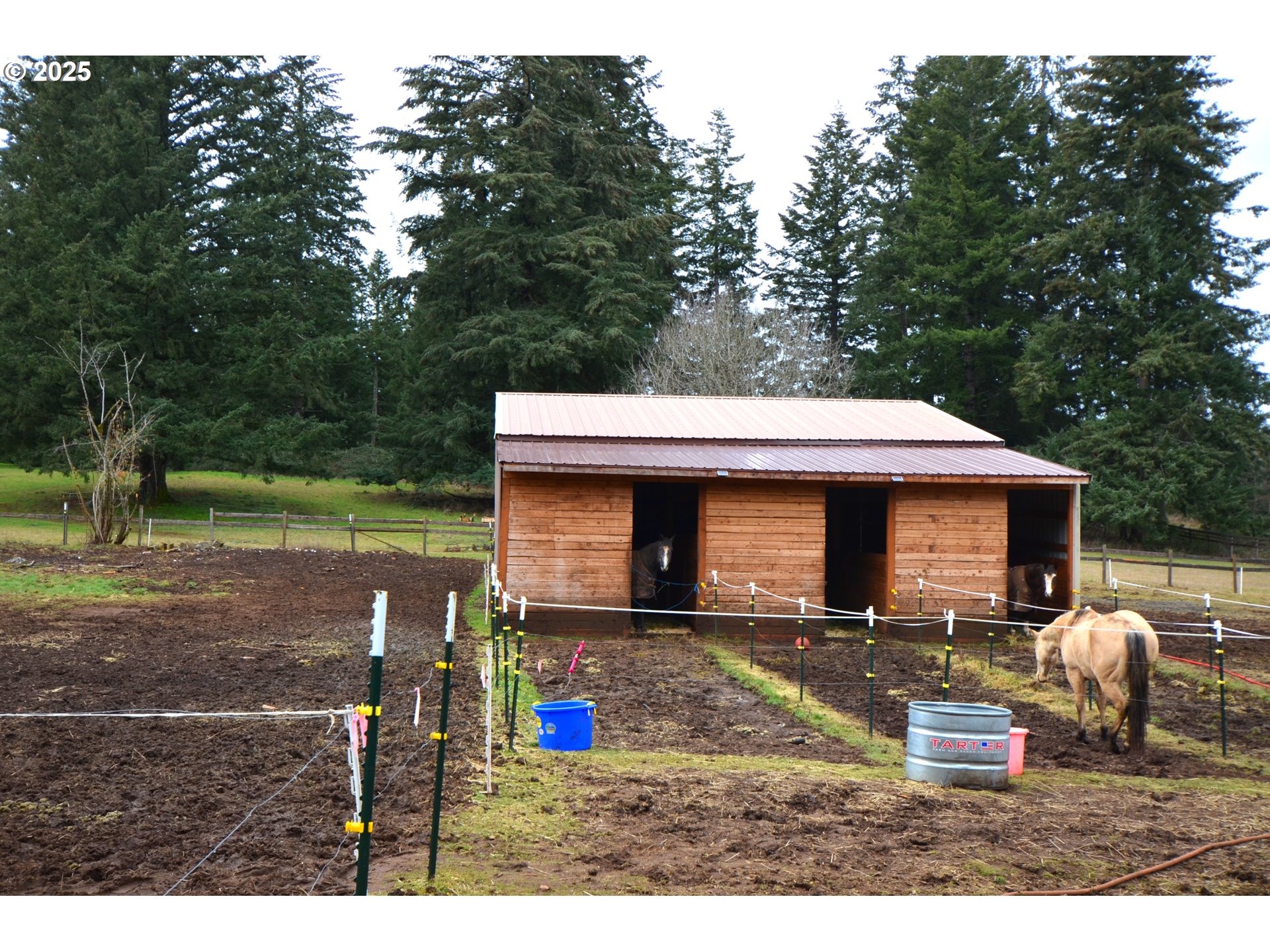 37800 Southeast Coupland Road Estacada, OR 97023 - Photo 13 of 13 Driveway