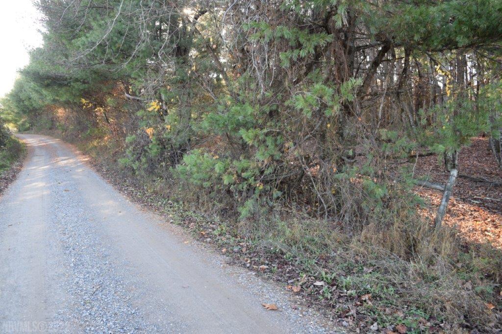 Tbd Spring Dale Road Southwest Floyd, VA 24091 - Photo 16 of 57 Gallery Image 16