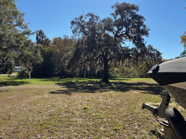 0 Lents Road Yulee, FL 32097 - Photo 2 of 8 a view of a yard with an tree