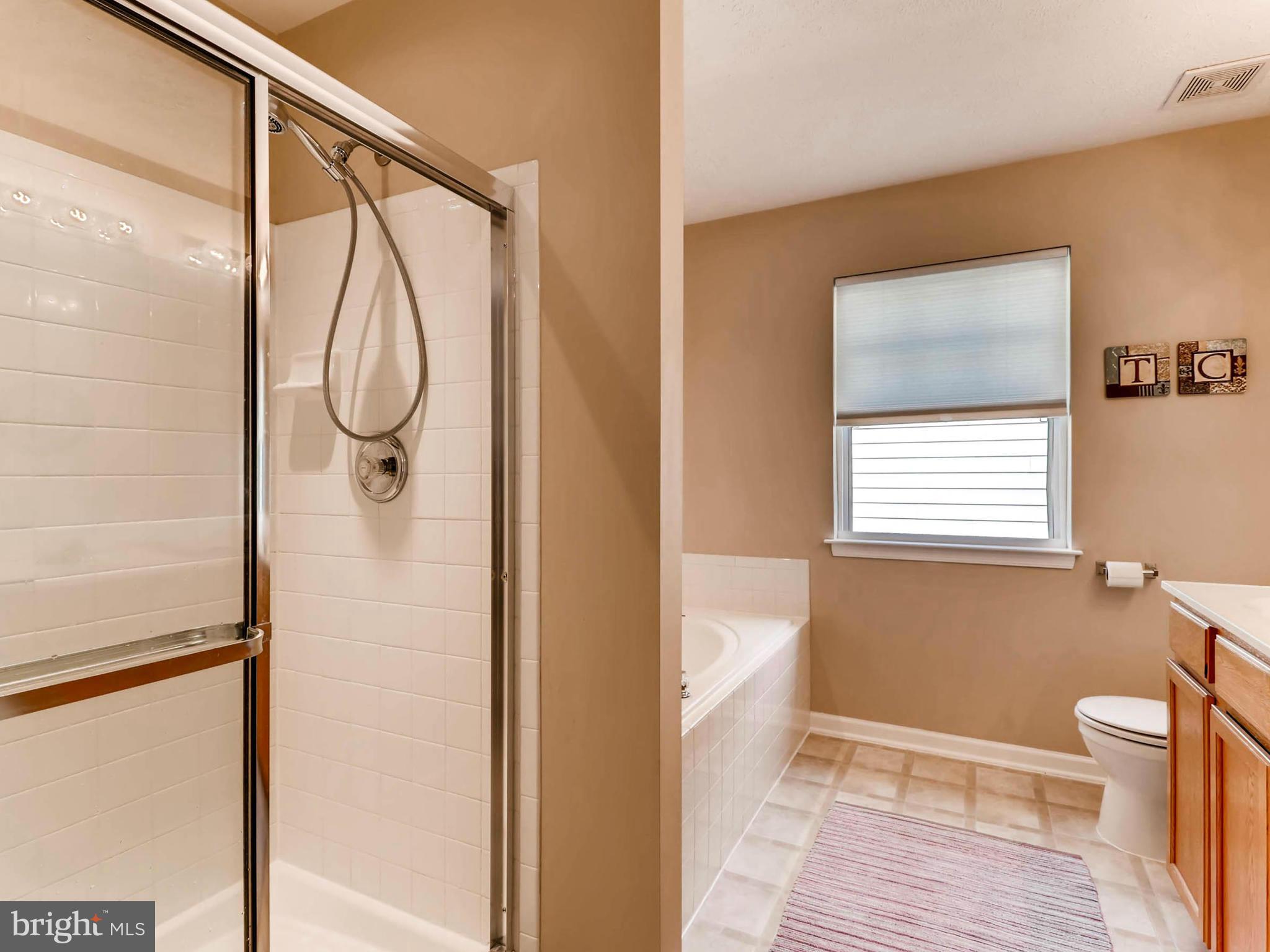 709 MacDill Road Baltimore, MD 21220 - Photo 14 of 30 a bathroom with a granite countertop shower a toilet and a window