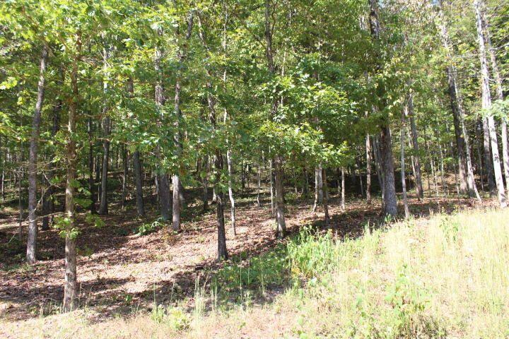 19 Haynes Knob Road Somerset, KY 42501 - Photo 5 of 7 5
