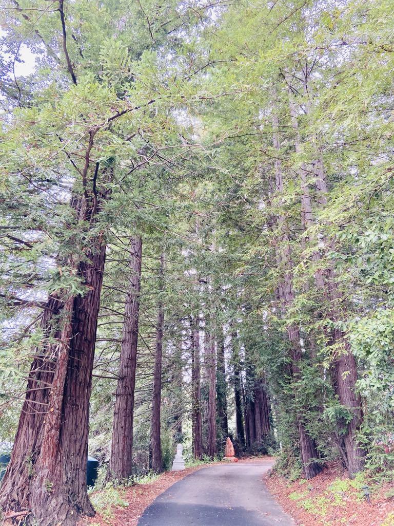 14136 Long Ridge Road Los Gatos, CA 95033 - Photo 67 of 75