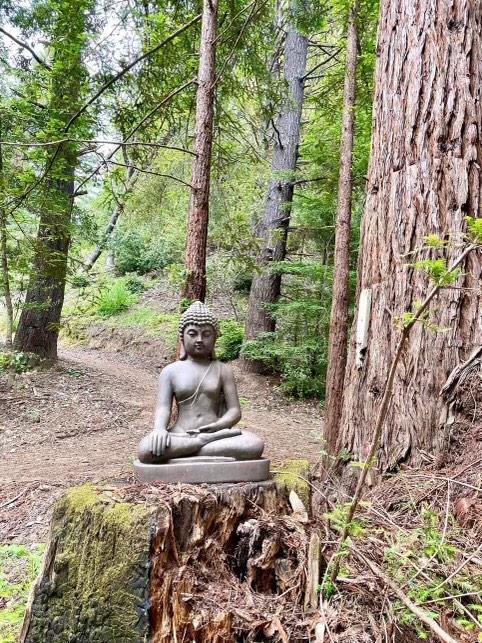 14136 Long Ridge Road Los Gatos, CA 95033 - Photo 69 of 75 a backyard of a house with lots of green space