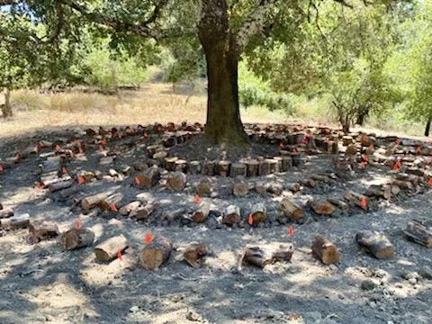 14136 Long Ridge Road Los Gatos, CA 95033 - Photo 70 of 75